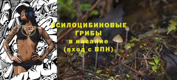 2c-b Беломорск