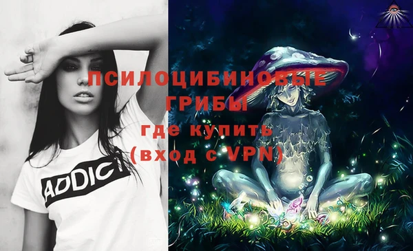 COCAINE Белокуриха