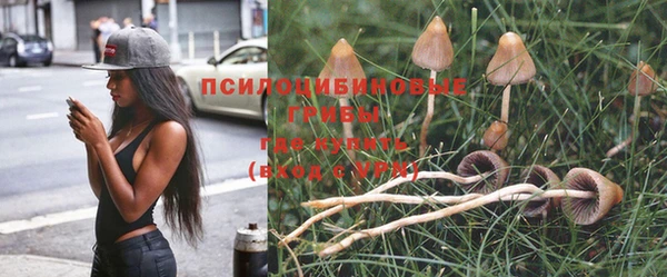 2c-b Строитель