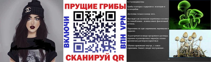 Псилоцибиновые грибы Cubensis  МЕГА маркетплейс  Верхний Уфалей 