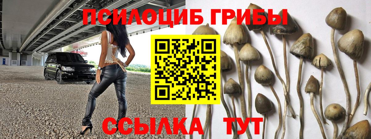 Псилоцибиновые грибы Magic Shrooms Верхний Уфалей