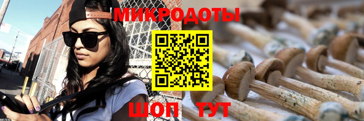 Верхний Уфалей  Галлюциногенные грибы Psilocybine cubensis  Галлюциногенные грибы прущие грибы  Вход с VPN 