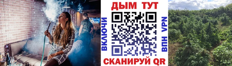 купить закладку  Верхний Уфалей  Бошки марихуана AK-47 